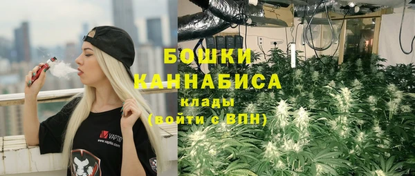 шишки Богданович